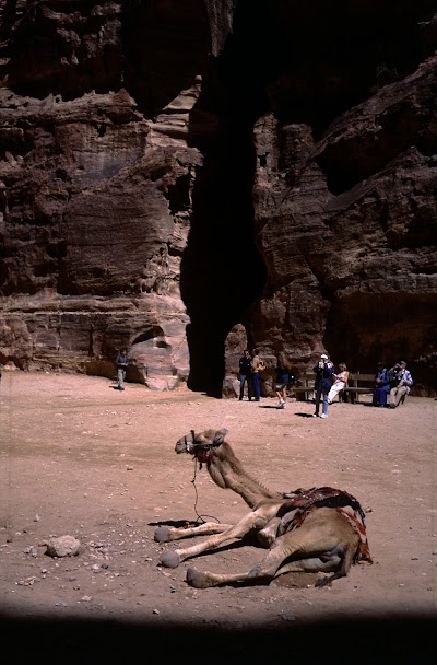 Photos of Nabatean Theatre