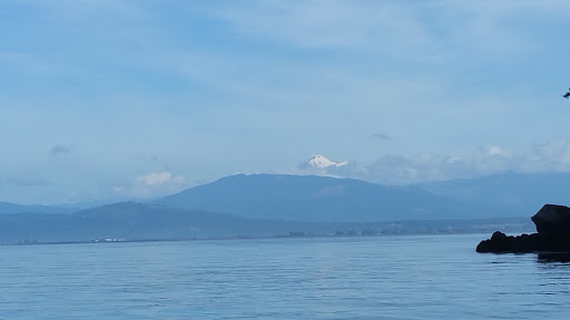 Hat Island - Visual