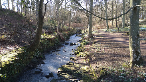 Cambo Estate - Thumbnail