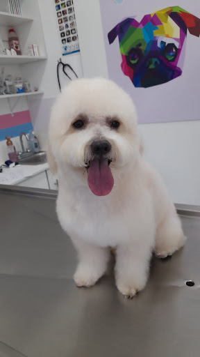 Clínica Veterinaria Pet House