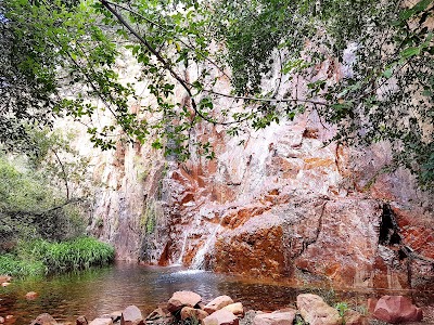 Photos of Mashovhela Bush Lodge