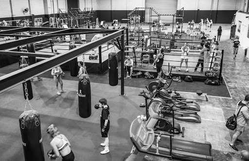 PRIMAL SPORTS PHYSIOTHERAPY - Thumbnail