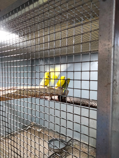 ZOO Soliera - Visual