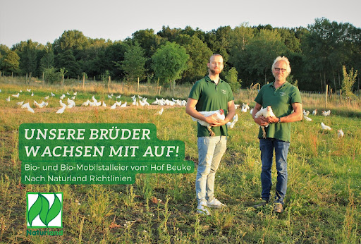 Hofladen Beuke - Mörsener Bio-Eier