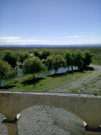 Photos of Zorzal Wines