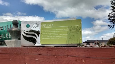 Photos of Fresia