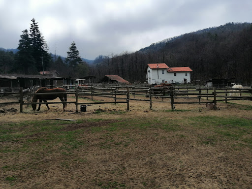 Rio Selvatico - Thumbnail