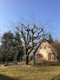 Photo n°22 de ARTISAN Jardins à Bernardswiller (Jardin)