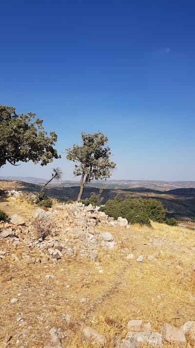 Zoyrat a biçuk