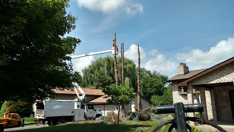 Twin Pines Tree Care & Landscaping