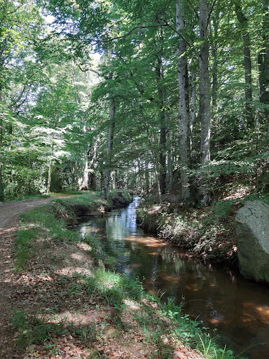 Sentier de La Rouge (Accès Est) - Thumbnail