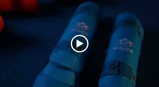 Fitness Sports Equip Tr LLC - صورة 2