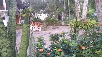 Photos of Wepassawela Siri Nikhetharamaya