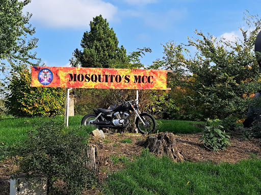 Mosquitos MCC - Visual