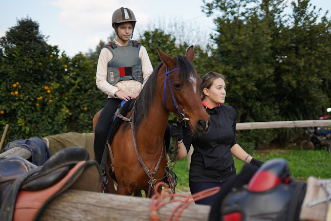 Marathon Endurance Club - Ένωση