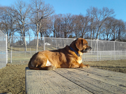 J Tracy Hermann Memorial Dog Park Gallery - United States