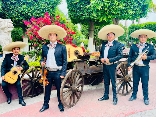 Mariachi Tradicional Cbo.De Coyotepec Edo. Méx.