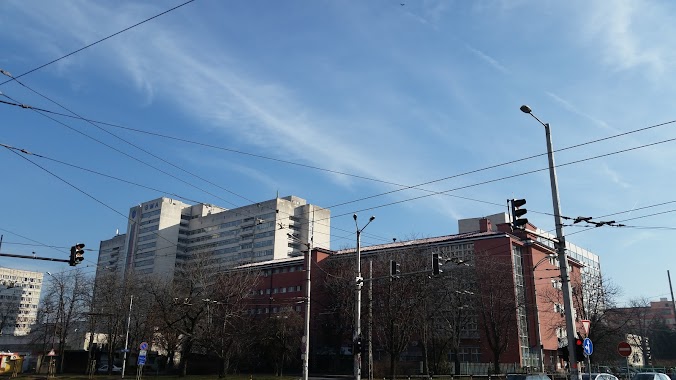 SBAL Children's Hospital „Prof. Dr. Ivan Mitev“, Author: Bogidar Bakalov