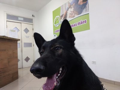 Photos of Animal Care Pet Place