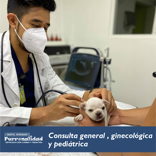 Perronalidad