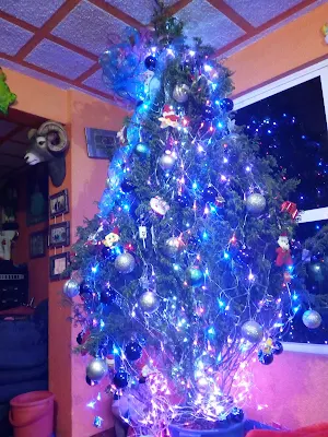 Llenadora Los Pinos
