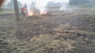 Photos of Pakulla Filling Station