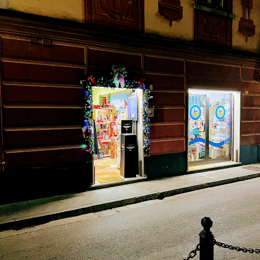 Wellys Rapallo - Visual