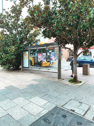 Auditori - Visual