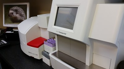 Photos of Hermitage Veterinary Clinic