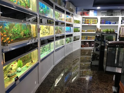 Photos of Creatures Oasis
