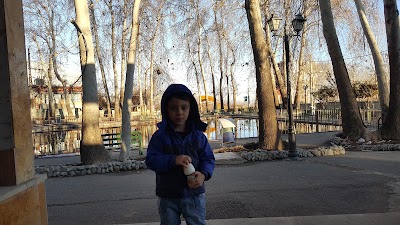 Photos of Park Moradabad