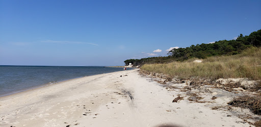 Savage Neck Dunes Natural Area Preserve