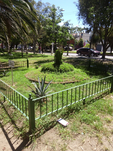 Tabachines Garden - Thumbnail