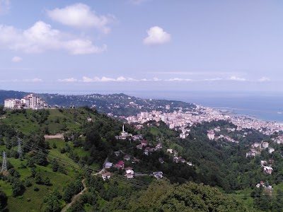 Photos of &Ccedil;amlık Savarona Cafe