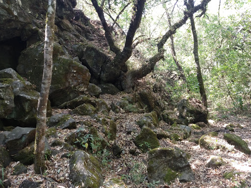 Cuevas de la Huachisca