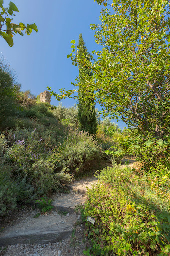 La Promenade Archéologique et Botanique - Thumbnail