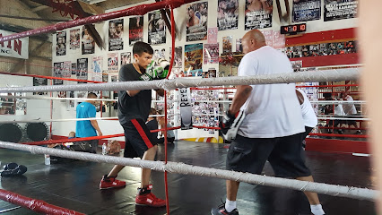 Foto de BAD TO THE BONZ BOXING GYM