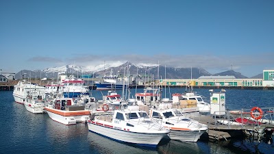 Photos of Gamlab&uacute;&eth; Visitor Center / Vatnaj&ouml;kull National Park