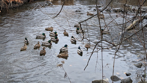 Sentier Coldbrook - Visual