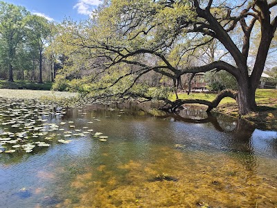 Cohn Arboretum