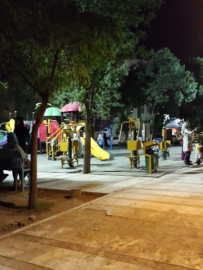 Photos of Ansar Park