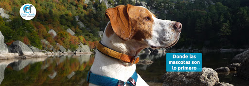 Clínica Veterinaria "Gran Danés"