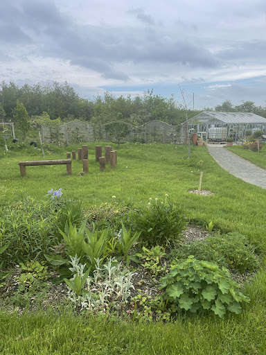 Community hospital garden - Thumbnail