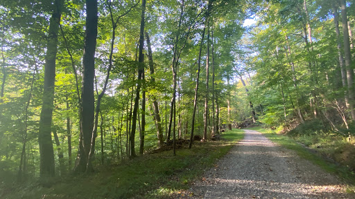 Stackhouse Park - Visual