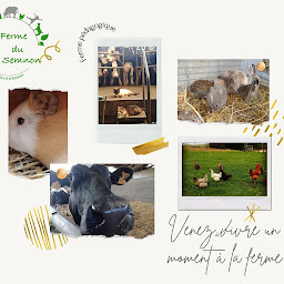 Photo n°22 de Ferme du Semnon à Tresboeuf (Agriculteur)