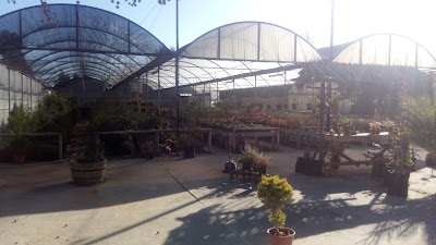 store