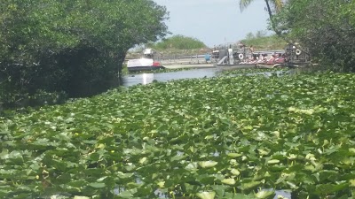 Photos of Coopertown Airboat Rides & Restaurant
