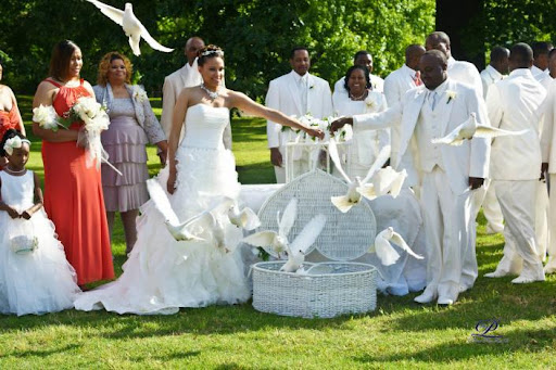 Memorable Moments Dove Release LLC - Thumbnail