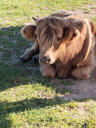 Photo n°51 de Camping familial de La Prévôté ( anciennement des 2 ânes) à Périssac (Terrain de camping)