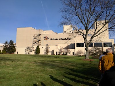 Budweiser Brewery Experience